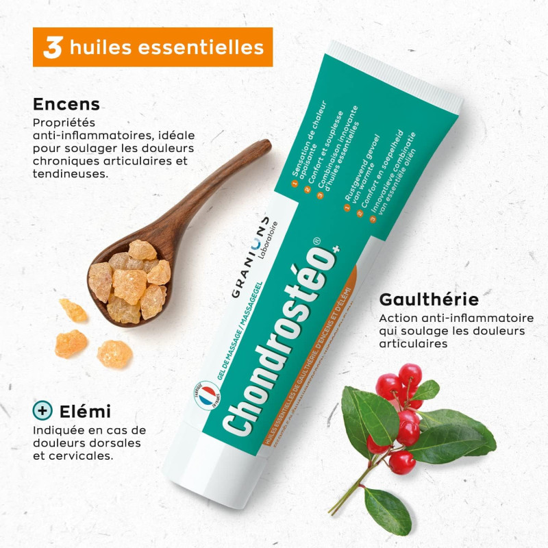 Chondrosteo Gel de Massage 100ml